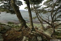 Tierra del Fuego island - closest to Antarctica