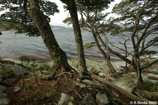 Tierra del Fuego island - closest to Antarctica