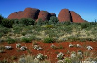 Kata Tjuta or the Olgas is an famous landmark and an aboriginal sacred place