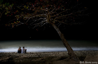 Palm Cove beach at night, QLD