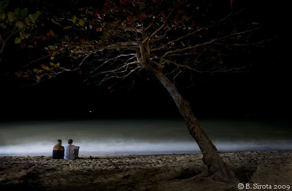 Palm Cove beach at night, QLD