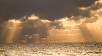 Sunset at Palm Cove, QLD
