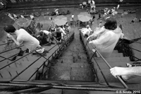 Angkor Wat Steps