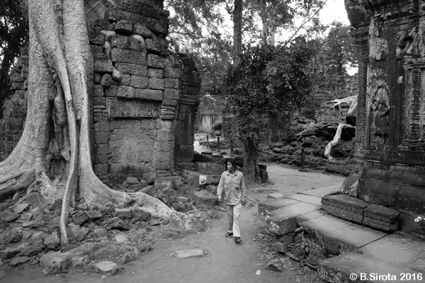 Ta Prohm - The Tomb Raider Location