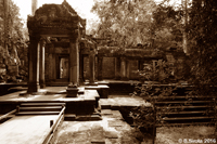 Ta Prohm - The Tomb Raider Location