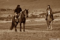 A pair of gauchos