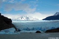 Grey Glacier