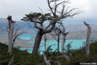  Patagonian mountains are surrounded by blue lakes