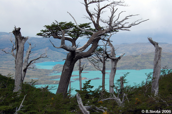  Patagonian mountains are surrounded by blue lakes