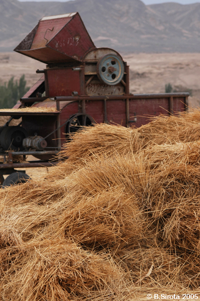 Hay making