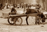 Tough life of chinese minorities