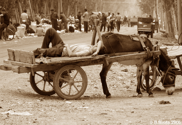 Tough life of chinese minorities