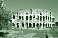 Coliseum in Rome