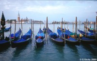 Gondolas in Venice