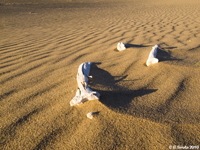 Gobi desert