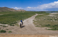 Open plains