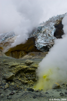 Those sulphur geysers are quite poisonous.