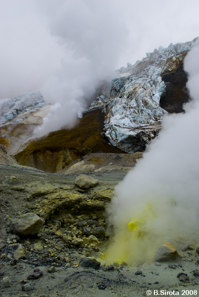 Those sulphur geysers are quite poisonous.