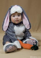 Costumes provided by www.kidscostumestudio.com