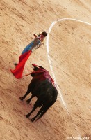 Corrida in Madrid