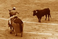 Corrida in Madrid