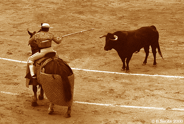 Corrida in Madrid