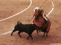 Corrida in Madrid