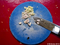 Cooking in Hoi An