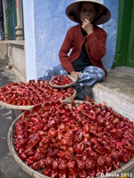 Whistle seller in Hoi An